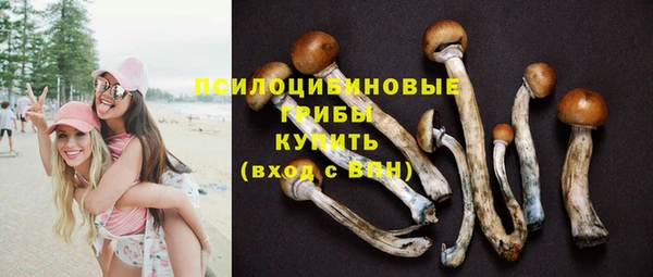 каннабис Богородицк